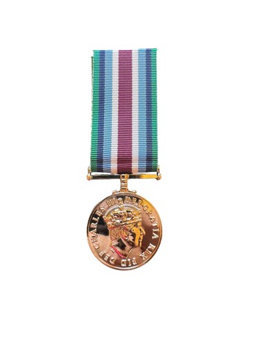 Wider service medal full size - full,