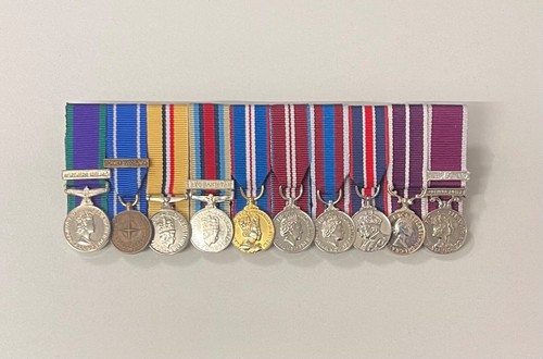 Court mounted miniature - court, medals
