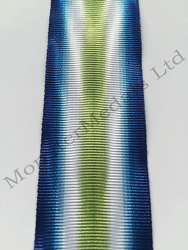 South atlantic medal - south,