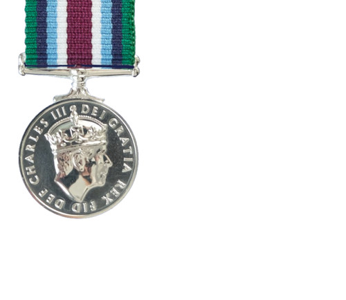 Ciiir wider service medal - ciiir,