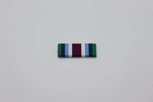 Wider service medal full size - wider,